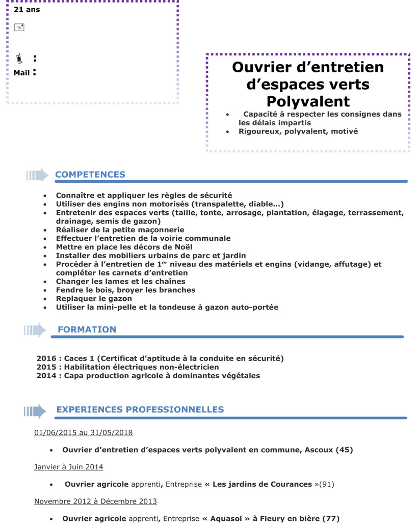 How to write a curriculum vitae picture